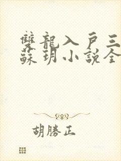 双龙入户三人行苏玥小说全文阅读