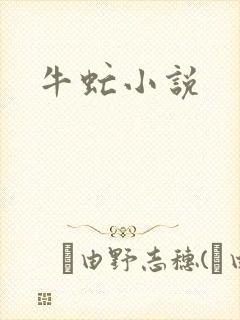 牛虻小说