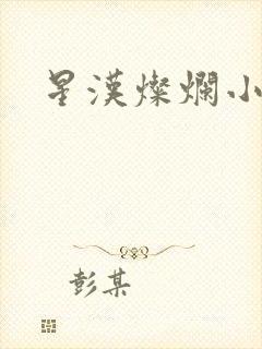 星汉灿烂小说封面