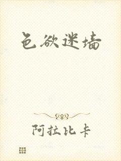 色欲迷墙封面