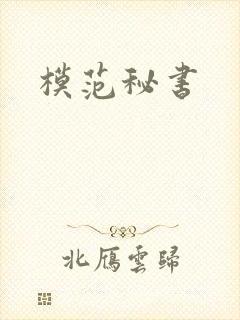 模范秘书封面