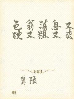 色翁荡息又大又硬又粗又爽电影