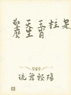 擎天玉柱是指什么生肖封面