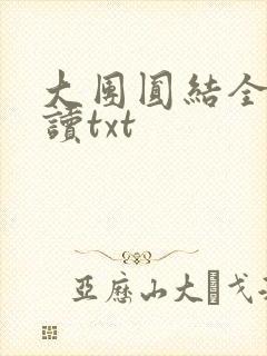 大团圆结全文阅读txt