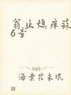 翁止熄痒苏玥第6章