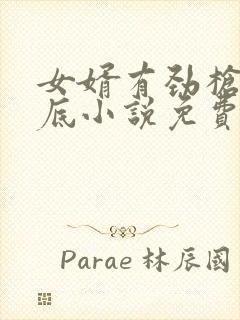 女婿有劲枪枪到底小说免费看封面
