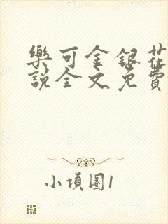乐可金银花露小说全文免费封面