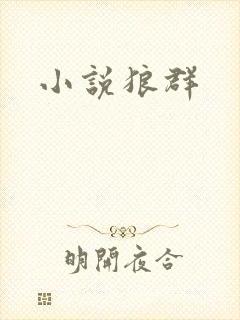 小说狼群