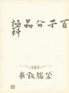 极品公子百度百科