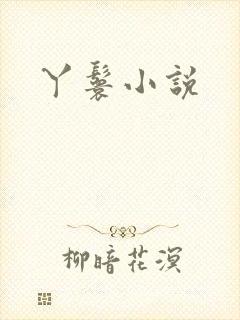 丫鬟小说