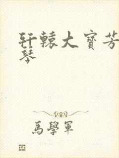 轩辕大宝芳菲雅琴