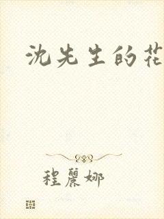 沈先生的花式