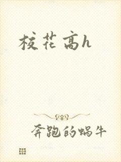 校花高h封面