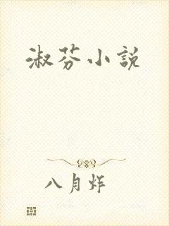淑芬小说