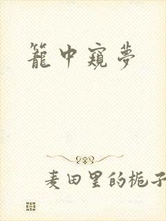 笼中窥梦