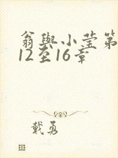 翁与小莹第十部12至16章封面