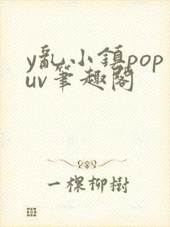 y乱小镇popuv笔趣阁