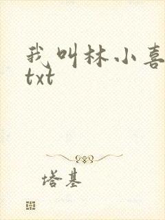 我叫林小喜小说txt