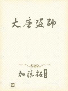 大唐盗帅