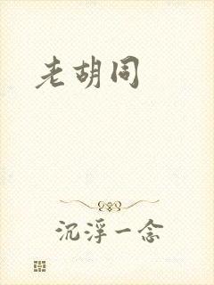 老胡同