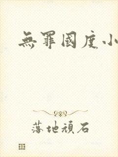 无罪国度小说