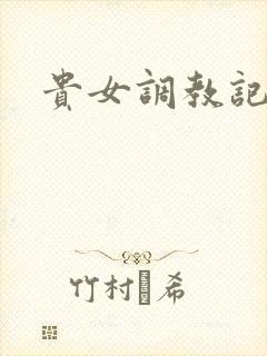 贵女调教记