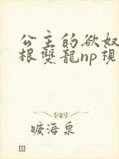 公主的欲奴h四根双龙np视频