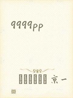 9999pp封面