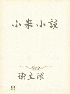 小米小说