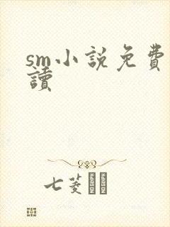sm小说免费阅读