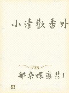 小清欢番外