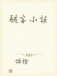 骇客小说