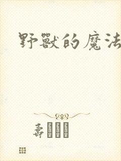 野兽的魔法师封面