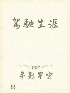 驾驶生涯