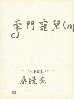 豪门宠儿(npc)
