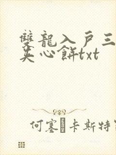 双龙入户三人行夹心饼txt