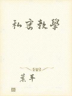 私密教学封面