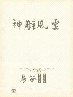 神雕风云