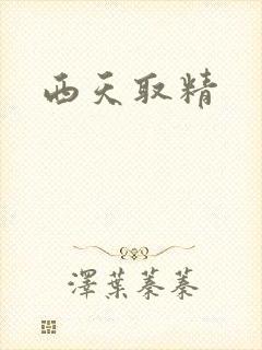 西天取精封面