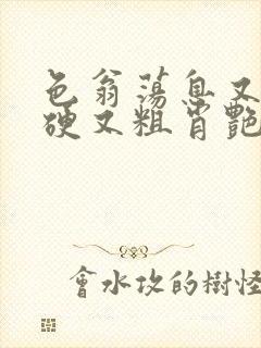 色翁荡息又大又硬又粗肖艳