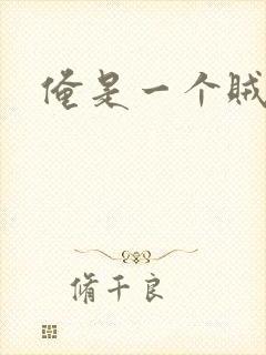 俺是一个贼