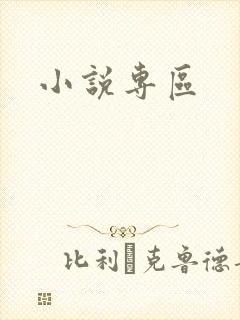 小说专区