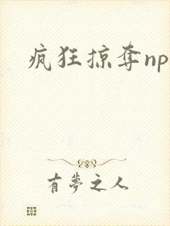 疯狂掠夺npc