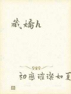 藏娇h封面