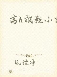 高h调教小说封面