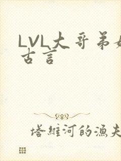 LVL大哥弟媳古言