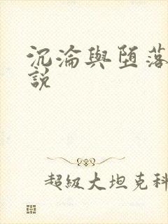 沉沦与堕落的小说