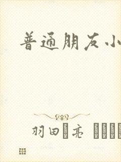 普通朋友小说