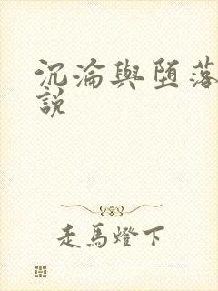 沉沦与堕落的小说