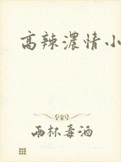 高辣浓情小说